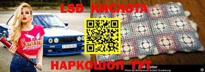 крисы Северобайкальск