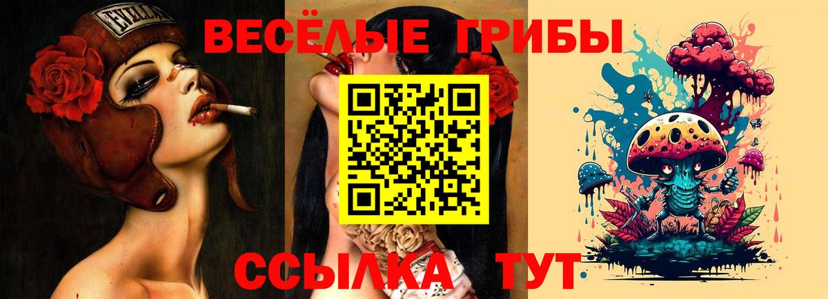 Псилоцибиновые грибы Magic Shrooms  Вход с VPN  Новодвинск 